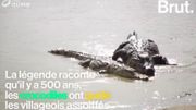 Dans un village au Burkina Faso, hommes et crocodiles vivent en harmonie Dans un village au Burkina Faso, hommes et crocodiles vivent en harmonie