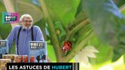 Quelques erreurs à ne pas commettre avec nos bébêtes du jardin Quelques erreurs à ne pas commettre avec nos bébêtes du jardin