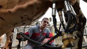 Le secteur du lait est particulièrement touché par la crise agricole en Europe Le secteur du lait est particulièrement touché par la crise agricole en Europe