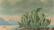 L'île au trésor, de René Magritte (1942). L'île au trésor, de René Magritte (1942).