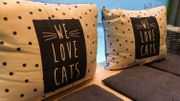 Les adresses de la rédac : le New Chattouille, un bar à chat tout doux, tout cosy Les adresses de la rédac : le New Chattouille, un bar à chat tout doux, tout cosy