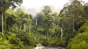 Les auteurs de l’étude ont comparé cette préférence pour la chaleur et l’humidité à la biodiversité des forêts tropicales humides de la Terre – en particulier par rapport aux zones plus froides et plus sèches. Les auteurs de l’étude ont comparé cette préférence pour la chaleur et l’humidité à la biodiversité des forêts tropicales humides de la Terre – en particulier par rapport aux zones plus froides et plus sèches.