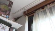 Logements sociaux: quel espoir pour ceux qui vivent dans les moisissures? Logements sociaux: quel espoir pour ceux qui vivent dans les moisissures?