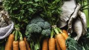 Optimiser son potager en y associant les bons légumes entre eux Optimiser son potager en y associant les bons légumes entre eux