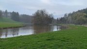 Presles : les jonquilles du parc victimes de leur succès Presles : les jonquilles du parc victimes de leur succès
