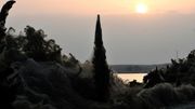Des milliers d'araignées tissent une toile gigantesque autour d'un lac en Grèce Des milliers d'araignées tissent une toile gigantesque autour d'un lac en Grèce