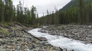 La Russie adopte un "plan d'adaptation" au changement climatique. La Russie adopte un "plan d'adaptation" au changement climatique.