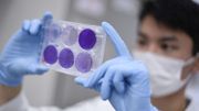 Bilan du coronavirus en Belgique ce 12 juillet : 137 cas supplémentaires, le nombre moyen d'infections par jour en hausse de 2% Bilan du coronavirus en Belgique ce 12 juillet : 137 cas supplémentaires, le nombre moyen d'infections par jour en hausse de 2%