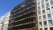 Le mur végétal de la rue Belliard, en 2016, brûlé pour la deuxième fois depuis sa création, en 2010. Depuis, son état s'est encore dégradé, il n'y a tout simplement plus de plantes. Le mur végétal de la rue Belliard, en 2016, brûlé pour la deuxième fois depuis sa création, en 2010. Depuis, son état s'est encore dégradé, il n'y a tout simplement plus de plantes.