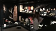 Le cabinet de curiosité est prisé par les petits et les grands Le cabinet de curiosité est prisé par les petits et les grands