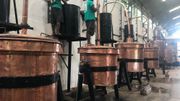 Cap sur Nosy Be, l'envoûtante et sensuelle île aux parfums… Cap sur Nosy Be, l'envoûtante et sensuelle île aux parfums…