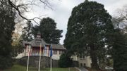Le séquoia géant à côté de la Maison des Mariages Le séquoia géant à côté de la Maison des Mariages