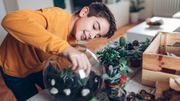 Prendre soin de ses plantes d'intérieur Prendre soin de ses plantes d'intérieur