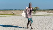 La pêche et l'agriculture sont les principaux moyens de subsistance de ces populations. La pêche et l'agriculture sont les principaux moyens de subsistance de ces populations.