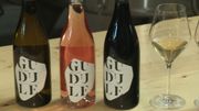 Gudule, le premier vin bruxellois est commercialisé Gudule, le premier vin bruxellois est commercialisé