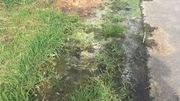Les habitants de Warneton estiment que les dégâts présents sur le Ravel sont du à la présence de Clarebout©AG Les habitants de Warneton estiment que les dégâts présents sur le Ravel sont du à la présence de Clarebout©AG