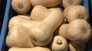 Des courges "buternut" marquées au laser Des courges "buternut" marquées au laser