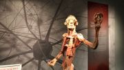 14 corps plastinés sont exposés dans les caves de Tour & Taxis 14 corps plastinés sont exposés dans les caves de Tour & Taxis