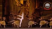 Une grande première, le théâtre du Bolchoï en confinement diffuse ses spectacles en ligne Une grande première, le théâtre du Bolchoï en confinement diffuse ses spectacles en ligne
