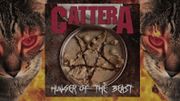 "Cattera", le groupe de métal dont le chanteur est… un chat !