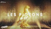La cérémonie des Pigeons d'Or 2021 La cérémonie des Pigeons d'Or 2021