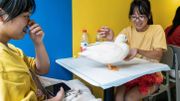 Chine: après les chats, voilà les bars... à canards Chine: après les chats, voilà les bars... à canards