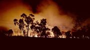 Australie: un incendie de forêt fait rage à Sydney Australie: un incendie de forêt fait rage à Sydney