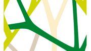 Saviez-vous que les plantes pouvaient se faire de petites camarades ? Saviez-vous que les plantes pouvaient se faire de petites camarades ?