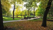 Le Groene Valleipark, à Gand, intègre des éléments de jeux dans la nature. De simples troncs deviennent des modules de jeux. Le Groene Valleipark, à Gand, intègre des éléments de jeux dans la nature. De simples troncs deviennent des modules de jeux.