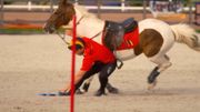 Les Pony Games, l'autre manière de monter un poney Les Pony Games, l'autre manière de monter un poney