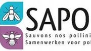 Abeilles, Syrphes et Papillons : Sauvons nos pollinisateurs Abeilles, Syrphes et Papillons : Sauvons nos pollinisateurs
