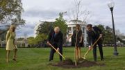 Mais où est passé l'arbre planté par Trump et Macron dans le jardin de la Maison Blanche? Mais où est passé l'arbre planté par Trump et Macron dans le jardin de la Maison Blanche?