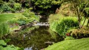Une pièce d'eau au jardin.. Une pièce d'eau au jardin..