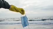 Covid-19 : des scientifiques alertent sur l'impact meurtrier des déchets sur les animaux Covid-19 : des scientifiques alertent sur l'impact meurtrier des déchets sur les animaux