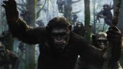 Vidéo : l'espèce humaine en perdition dans "La Planète des singes : L'Affrontement"
