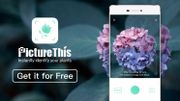 Test : quelle application choisir pour identifier une plante ? Test : quelle application choisir pour identifier une plante ?