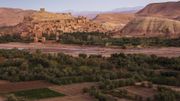Plus d'arbres que prévu au Sahara et au Sahel, selon une étude Plus d'arbres que prévu au Sahara et au Sahel, selon une étude