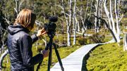 Les vertus du travail en "open space". Pascale en plein shooting dans la nature apaisante de Tasmanie (Australie). Les vertus du travail en "open space". Pascale en plein shooting dans la nature apaisante de Tasmanie (Australie).