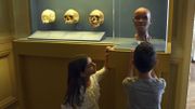Brésil: le fossile humain Luzia retrouvé dans les décombres du Musée national Brésil: le fossile humain Luzia retrouvé dans les décombres du Musée national
