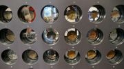 Le Musée National du Sport, à Nice, possède une collection de médailles olympiques Le Musée National du Sport, à Nice, possède une collection de médailles olympiques