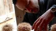 Bruno Danis est le chef de cette expédition pour le moins originale. Bruno Danis est le chef de cette expédition pour le moins originale.
