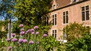 Des cours de latin (ou de yoga) avec la Maison d'Erasme, ça vous tente ? Des cours de latin (ou de yoga) avec la Maison d'Erasme, ça vous tente ?
