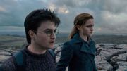"Harry Potter et les reliques de la mort" 1ère partie, le danger est partout ! "Harry Potter et les reliques de la mort" 1ère partie, le danger est partout !