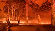 Australie: le ciel se transforme en brasier et des milliers de personnes sont prises au piège sur les plages Australie: le ciel se transforme en brasier et des milliers de personnes sont prises au piège sur les plages