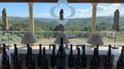 Les vignobles de Quinta de Lemos Les vignobles de Quinta de Lemos