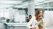 Les plantes réduisent le stress au travail Les plantes réduisent le stress au travail