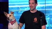 La chienne "Fiona" attentive à l'écoute de "Aïe Aïe Tango" est devenue fan de Jean-Luc Fonck La chienne "Fiona" attentive à l'écoute de "Aïe Aïe Tango" est devenue fan de Jean-Luc Fonck