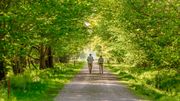 Marcher, c'est à tout âge (comme le reste d'ailleurs) Marcher, c'est à tout âge (comme le reste d'ailleurs)