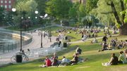 5 manières de se sentir en symbiose avec la nature, même en ville 5 manières de se sentir en symbiose avec la nature, même en ville