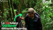 "On se rend compte qu'on ne fait pas les choses pour rien"… Des Youtubeurs replantent des arbres en Tanzanie "On se rend compte qu'on ne fait pas les choses pour rien"… Des Youtubeurs replantent des arbres en Tanzanie